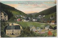 Alte Postkarte von Wildenthal