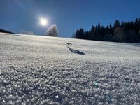 winterurlaub erzgebirge